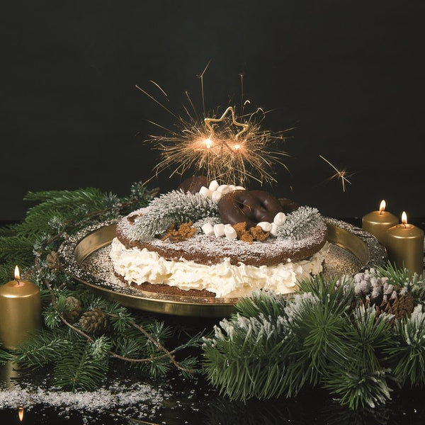 Gâteau de Noël décoré de façon festive avec des cierges magiques, entouré de branches de sapin et de bougies allumées