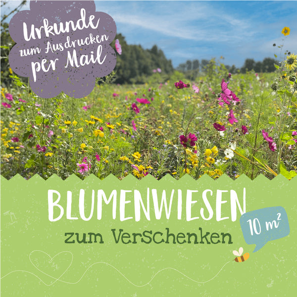 Prairie fleurie sous un ciel bleu avec le texte "Certificat à imprimer par email" et "Prairies fleuries à offrir 10 m²".