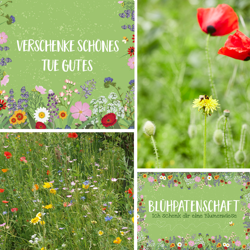 Collage de quatre images ; deux avec les mots « Offrez quelque chose de beau, faites quelque chose de bien » et « Parrainage de fleurs – Je vous offre une prairie fleurie » sur un fond vert et fleuri, ainsi que deux photos de prairies fleuries colorées et d'une abeille sur une fleur jaune.