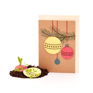 Carte de Noël avec des graines