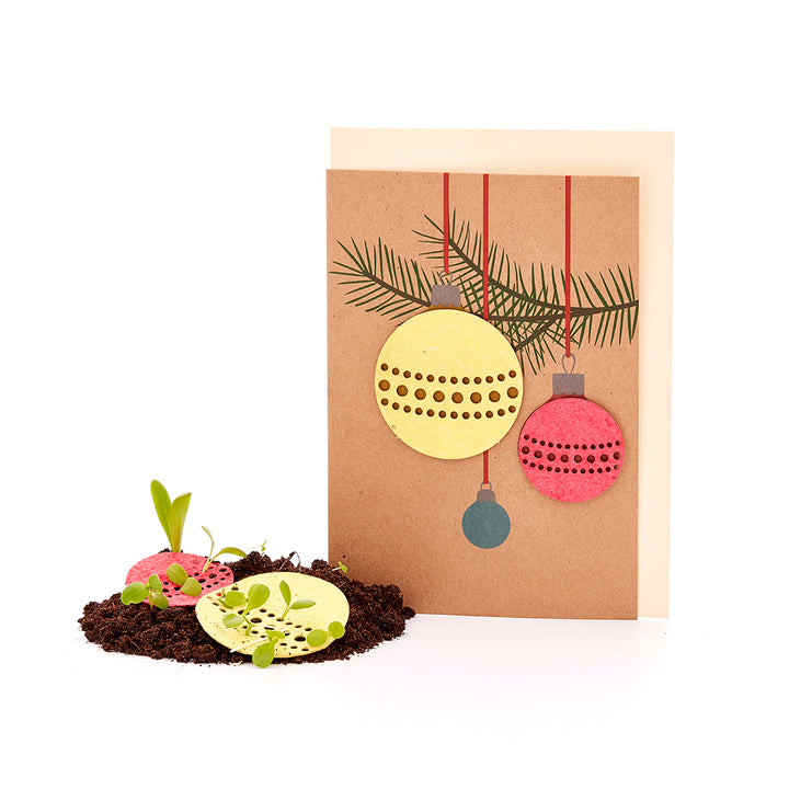 Carte de Noël avec des graines