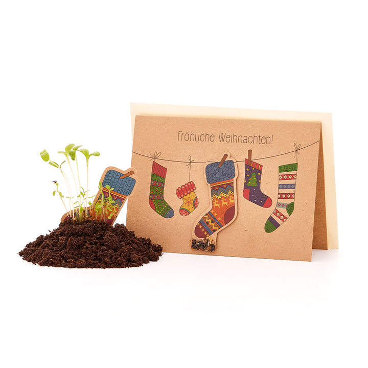 Carte de Noël avec graines à planter « Joyeux Noël »