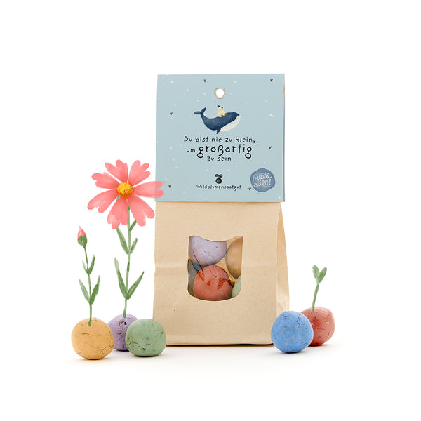 Sac en papier avec des boules de graines colorées, certaines avec des fleurs qui poussent dessus, et une carte avec une baleine et le texte : « Vous n'êtes jamais trop petit pour être grand. »