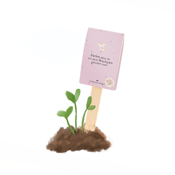 Une petite plante verte pousse dans le sol à côté d'un bâton en bois portant un panneau violet sur lequel est écrit : « Merci de m'aider à grandir. »