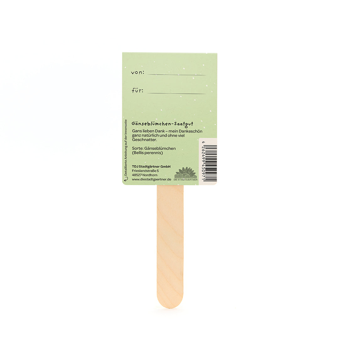 Dos d'un paquet de graines de marguerite verte avec un bâton en bois, des étiquettes « de » et « pour » et des informations sur le produit en allemand.