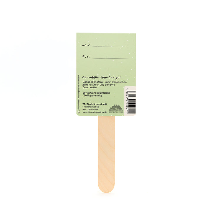 Dos d'un paquet de graines de marguerite verte avec un bâton en bois, des étiquettes « de » et « pour » et des informations sur le produit en allemand.