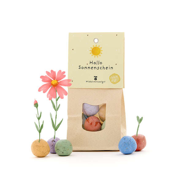 Sac en papier avec l'inscription « Hello Sunshine » et des bombes de graines colorées poussant à partir de fleurs.