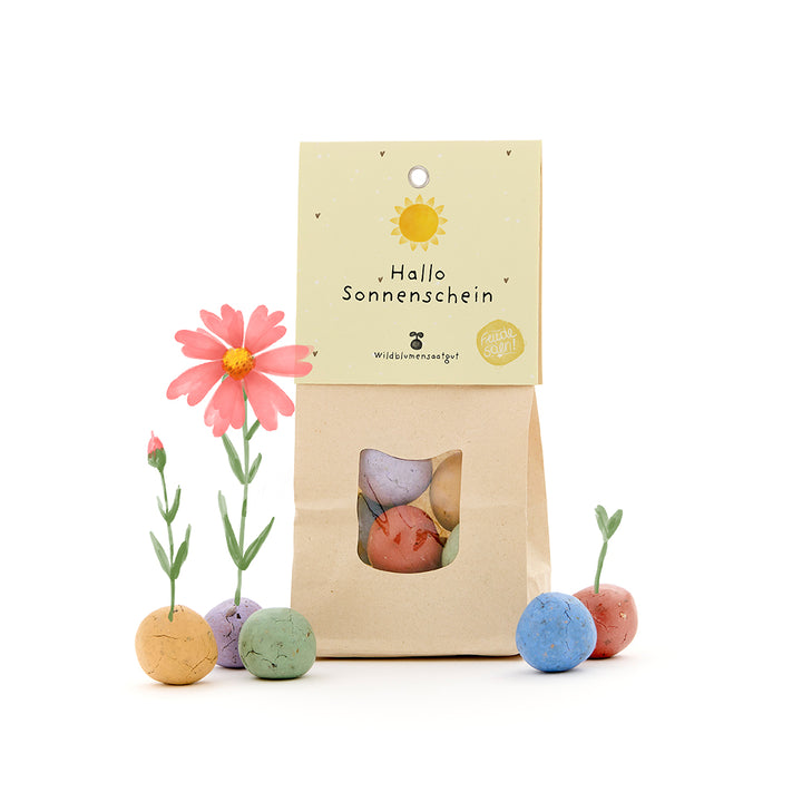 Sac en papier avec l'inscription « Hello Sunshine » et des bombes de graines colorées poussant à partir de fleurs.