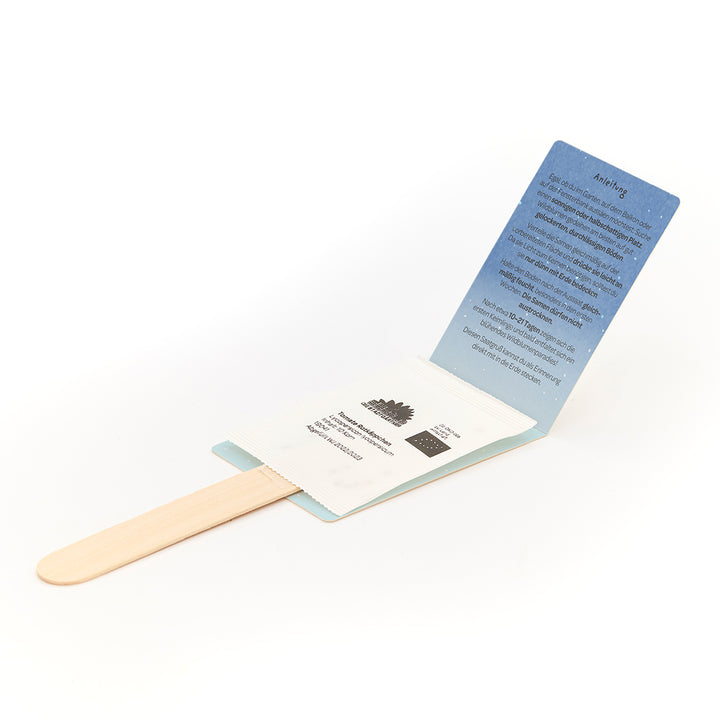 Bâtonnet de glace en bois avec sachet de graines attaché et instructions dépliées en allemand.