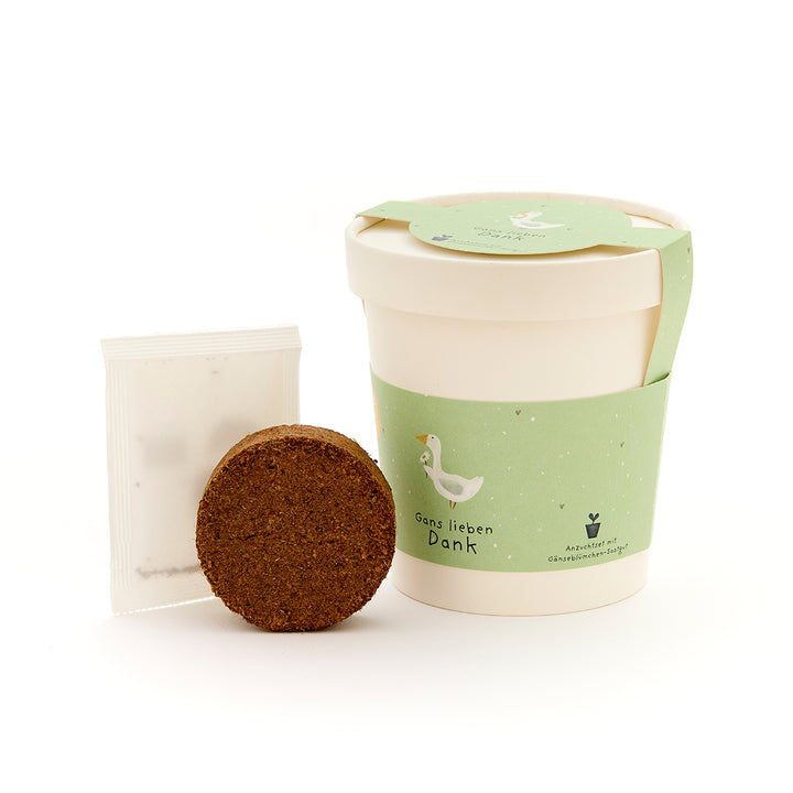 Coffret cadeau en pot de fleurs blanc avec une étiquette verte, une petite tablette de terreau et un sachet de graines.