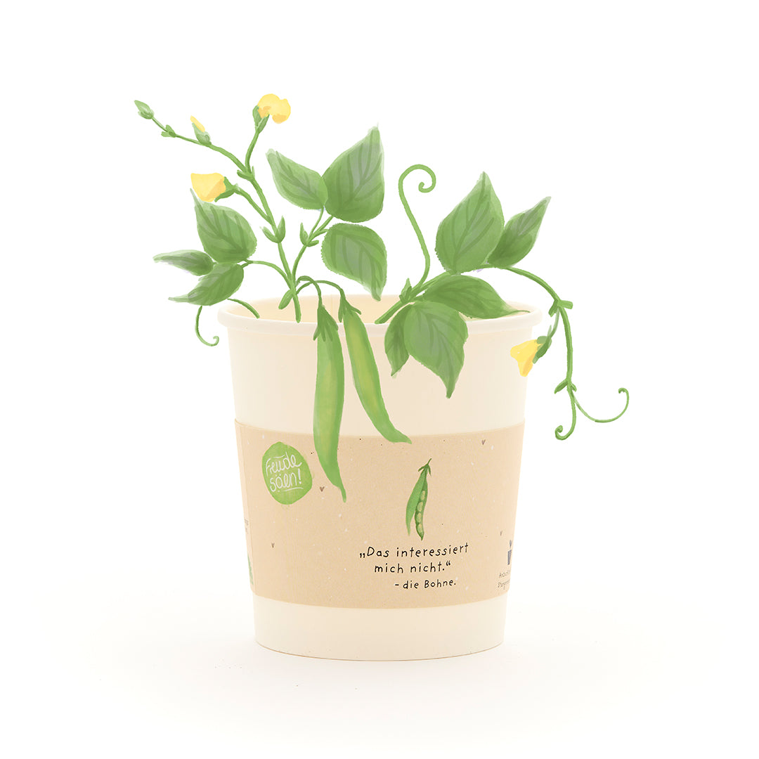 Un gobelet en papier avec un haricot vert en croissance et des fleurs jaunes, avec un dicton sur les haricots sur le gobelet.