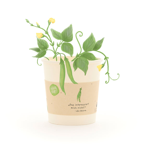 Un gobelet en papier avec un haricot vert en croissance et des fleurs jaunes, avec un dicton sur les haricots sur le gobelet.
