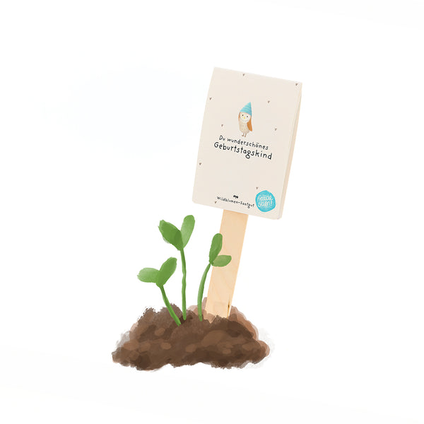 Un panneau en bois sur lequel est écrit « Tu es une belle fille qui fête son anniversaire » est planté dans le sol à côté de petites plantes vertes.