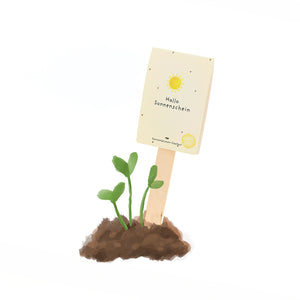 Une jeune plante sort du sol, à côté d'elle un bâton en bois avec le signe "Bonjour Soleil".