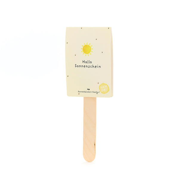 Bâton en bois avec une carte jaune sur laquelle est écrit « Hello Sunshine » et avec un soleil dessus.