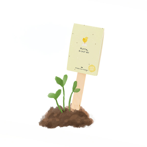 Illustration de petites plantes vertes poussant du sol, à côté d'un panneau indiquant « Hourra, vous êtes là ! » et d'un poussin jaune.