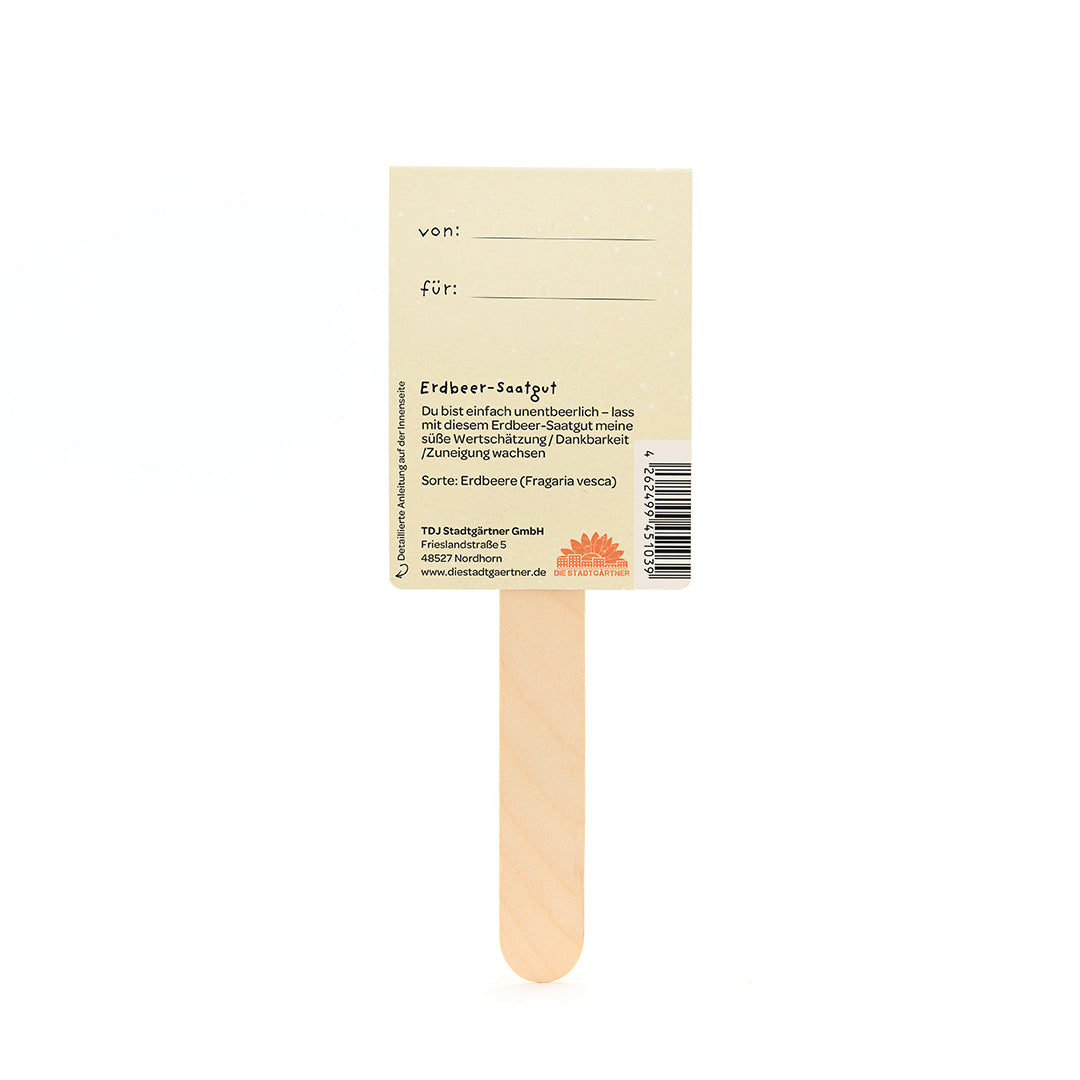 Dos d'une étiquette de graines de fraises sur un bâton en bois, avec des champs pour « de » et « pour » et une description de la graine en allemand.