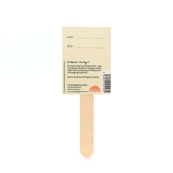Dos d'une étiquette de graines de fraises sur un bâton en bois, avec des champs pour « de » et « pour » et une description de la graine en allemand.