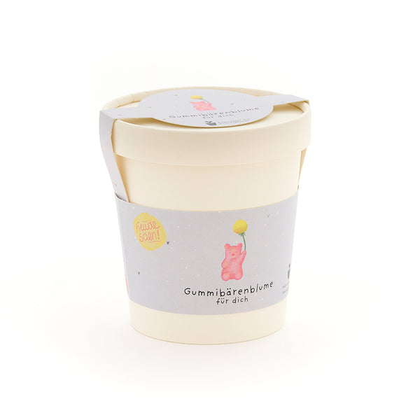 Fleur d'ourson en gélatine pour vous - Kit de culture