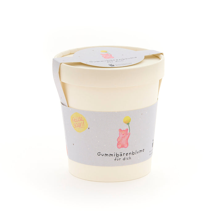 Fleur d'ourson en gélatine pour vous - Kit de culture