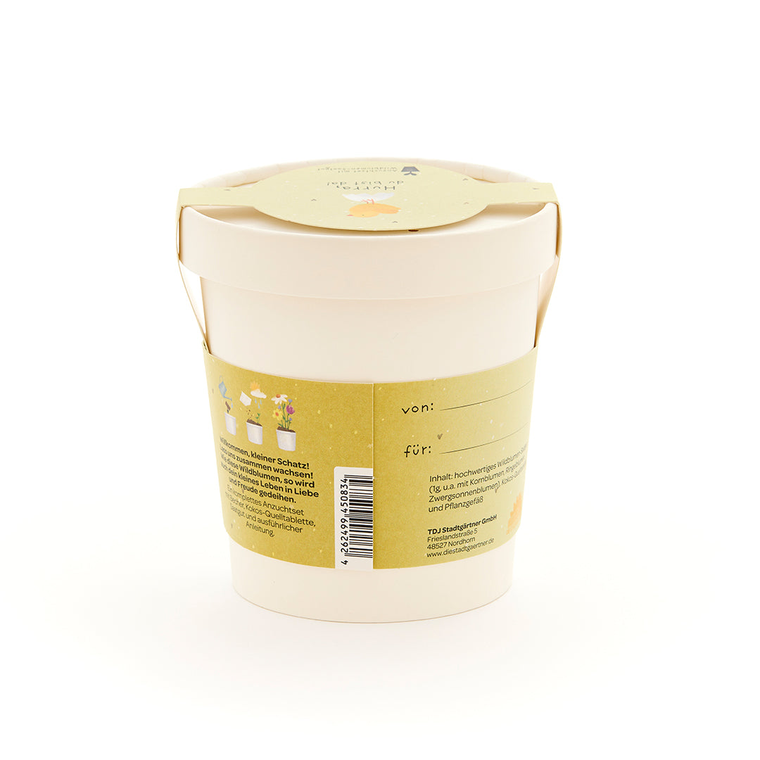 Pot de fleurs beige avec étiquette et inscription jaunes, coffret cadeau pour la culture des plantes.