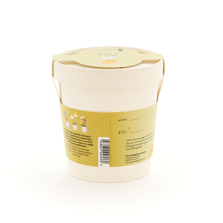 Pot de fleurs beige avec étiquette et inscription jaunes, coffret cadeau pour la culture des plantes.
