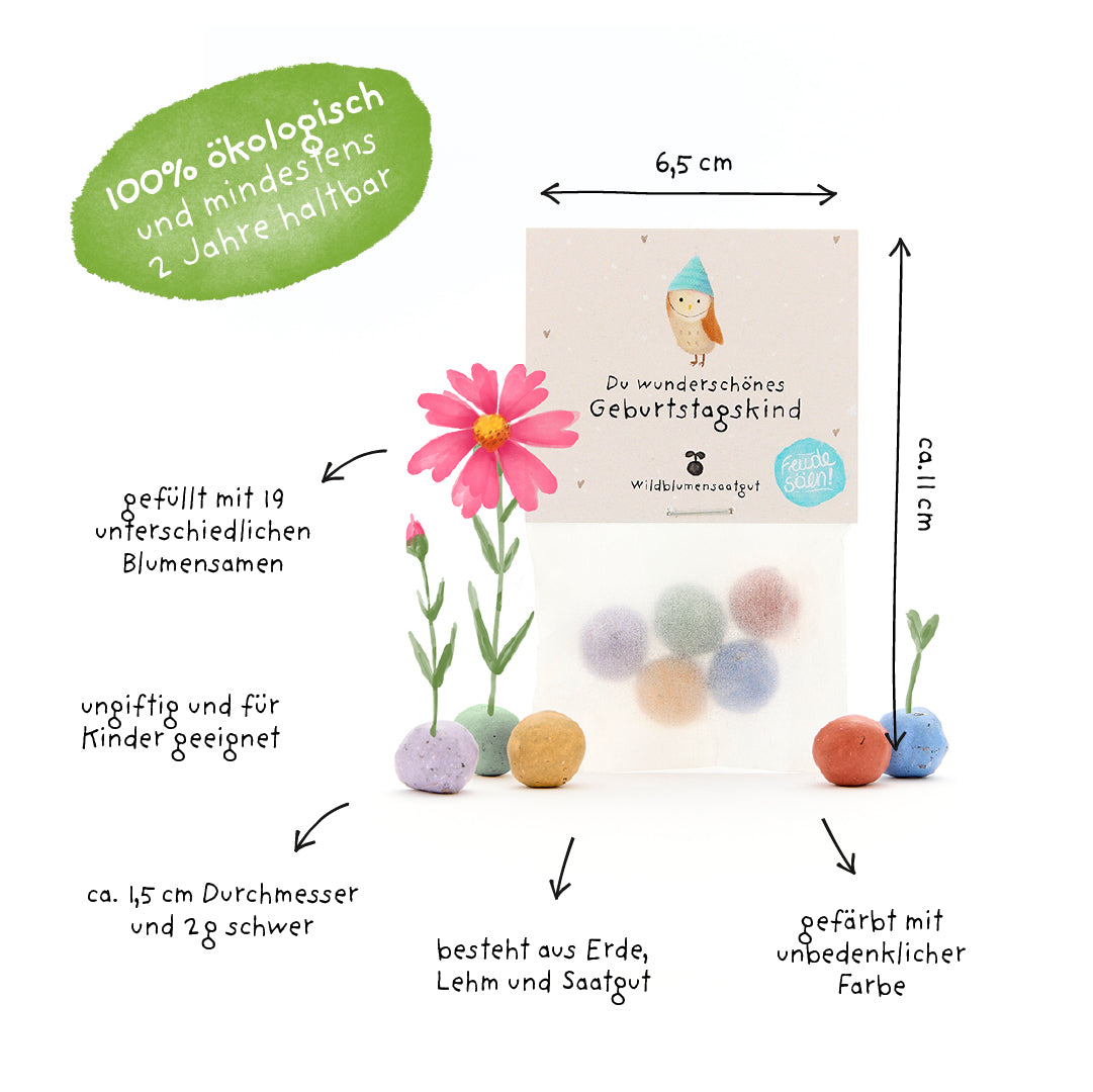 Sac de boules de graines rondes et colorées remplies de graines de fleurs sauvages, étiquetées avec des informations sur la taille, le matériau et la durabilité ; respectueux de l'environnement et adapté aux enfants.