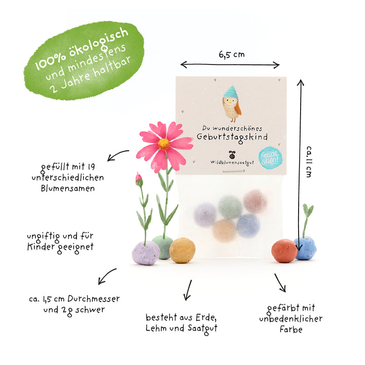 Sac de boules de graines rondes et colorées remplies de graines de fleurs sauvages, étiquetées avec des informations sur la taille, le matériau et la durabilité ; respectueux de l'environnement et adapté aux enfants.