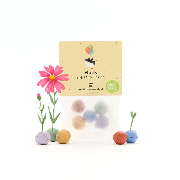 Paquet de boules de graines colorées, de graines de fleurs sauvages, à côté d'une fleur rose en fleurs et de semis, étiquetés en allemand.
