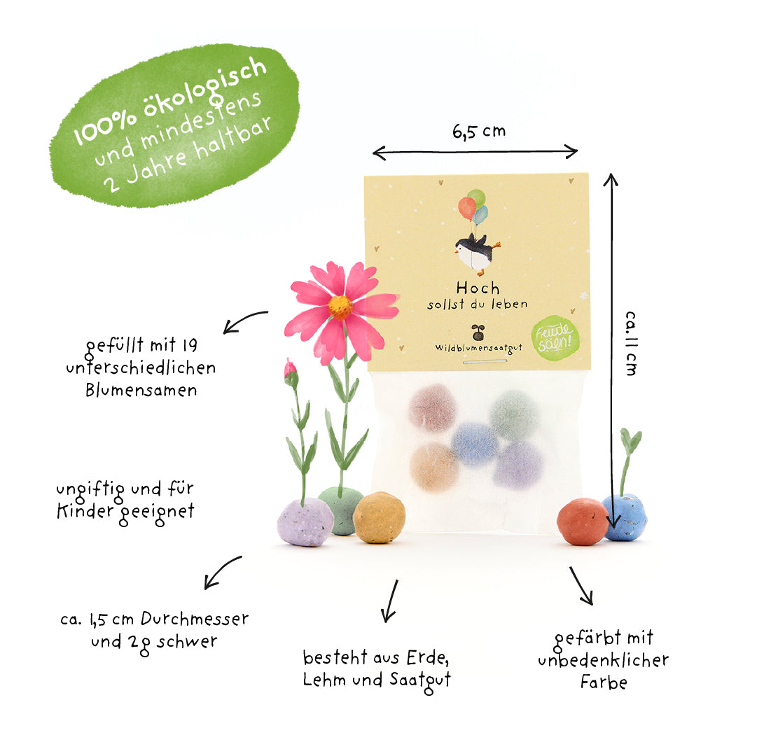 Emballage contenant des boules de graines colorées faites de terre, d'argile et de graines, entourées d'étiquettes indiquant la taille, les matériaux et les propriétés ; 100% écologique, non toxique et rempli de 19 graines de fleurs différentes.