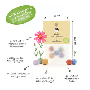 Emballage contenant des boules de graines colorées faites de terre, d'argile et de graines, entourées d'étiquettes indiquant la taille, les matériaux et les propriétés ; 100% écologique, non toxique et rempli de 19 graines de fleurs différentes.