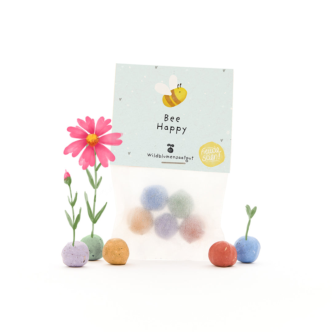 Sac contenant des bombes de graines colorées, quelques petites plantes à fleurs et une carte avec les mots « Bee Happy » et un dessin d'abeille.