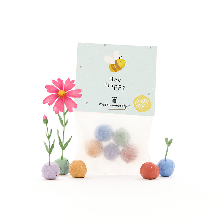 Sac contenant des bombes de graines colorées, quelques petites plantes à fleurs et une carte avec les mots « Bee Happy » et un dessin d'abeille.