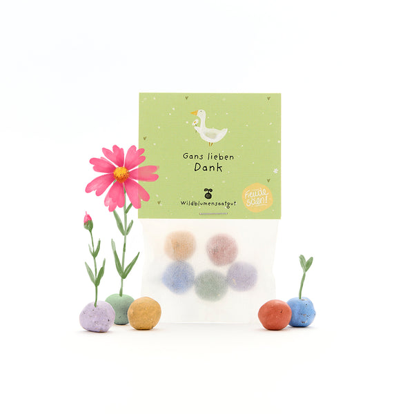 Sac avec des boules de graines colorées, étiquette verte avec une oie et le texte « Merci beaucoup, oie », à côté de fleurs en fleurs et en germination.
