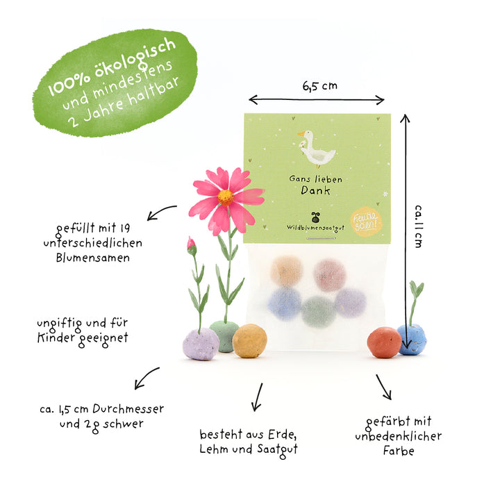 Sachet de boules de graines colorées, étiqueté avec des informations en allemand sur la taille, le contenu (19 graines de fleurs différentes), les couleurs non toxiques, la production écologique et l'adéquation aux enfants.