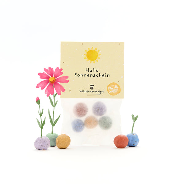 Un sac de boules de graines colorées étiquetées « Hello Sunshine » avec des fleurs en fleurs et en germination à côté.