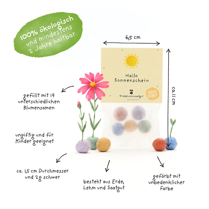 Emballage avec des boules de graines colorées, à côté de plantes dessinées à la main et de textes explicatifs en allemand sur des propriétés telles que biologique, non toxique, rempli de 19 graines de fleurs et la taille des boules de graines.