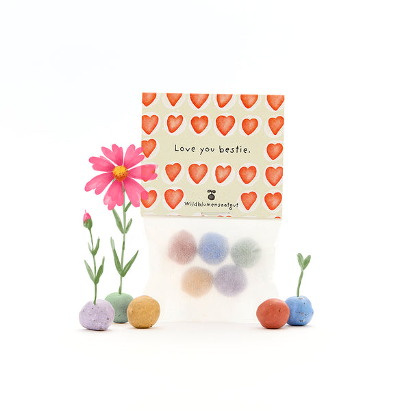 Sac de graines de fleurs sauvages, décoré de cœurs rouges et des mots « Love you bestie », entouré de boules de graines colorées et de petites fleurs en fleurs.