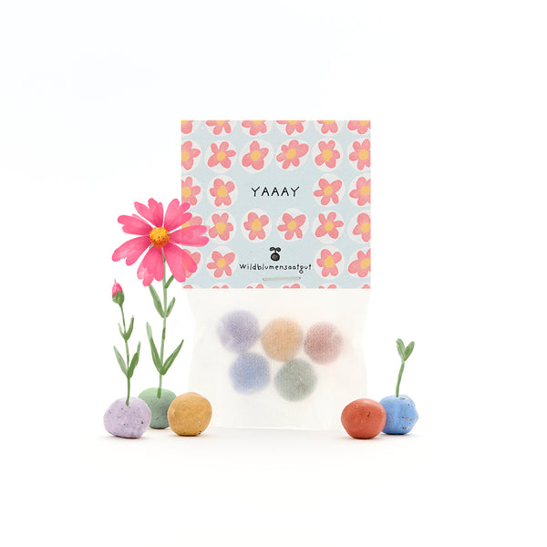 Sachet de boules de graines de fleurs sauvages colorées, motif floral sur l'emballage et petites fleurs en fleurs à côté.