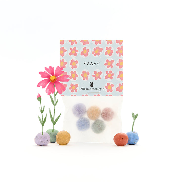 Sachet de boules de graines de fleurs sauvages colorées, motif floral sur l'emballage et petites fleurs en fleurs à côté.