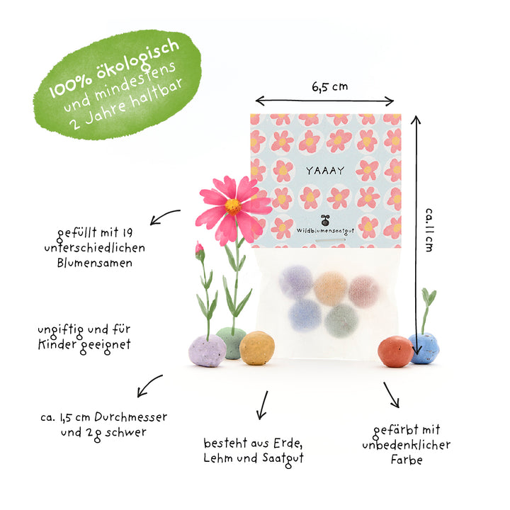 Sachet de bombes à graines colorées, décoré de fleurs et d'instructions en allemand ; biologique, adapté aux enfants, nombreuses variétés de fleurs, diamètre environ 1,5 cm, composé de terre, d'argile et de graines.