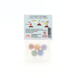 Sachet contenant cinq boules de graines colorées en bleu, vert, jaune et rouge, ainsi que des instructions en allemand.