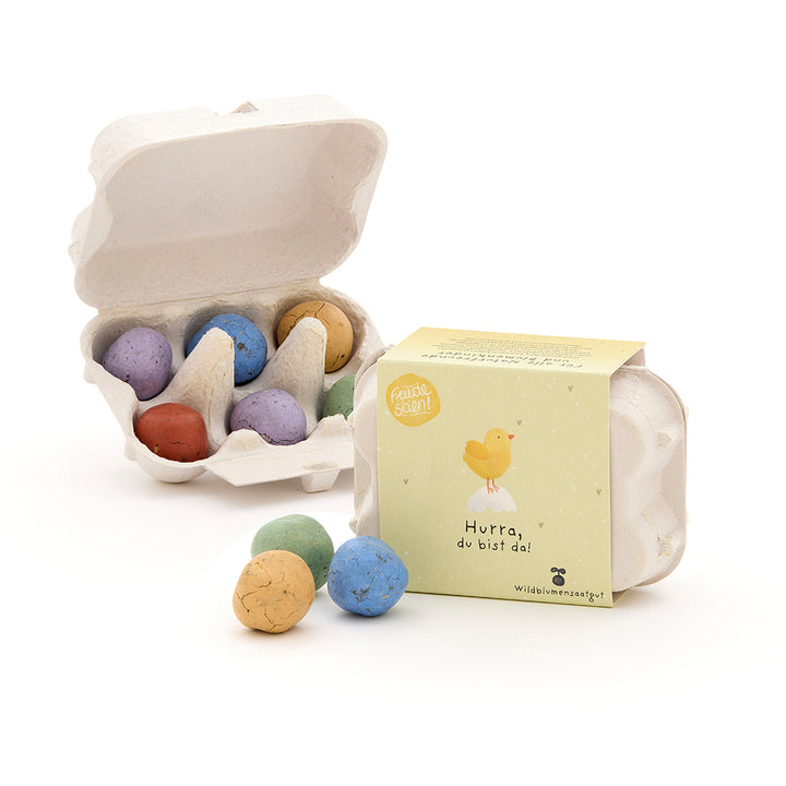 Six boules de graines colorées dans un emballage en carton d'œufs ouvert avec un emballage cadeau représentant un poussin jaune et le texte « Hourra, vous êtes là ! »