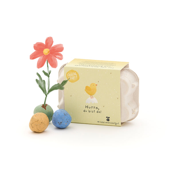 Une petite boîte à œufs avec l’inscription « Hourra, vous êtes là ! » et un poussin jaune, à côté des bombes de graines colorées et une fleur rouge.
