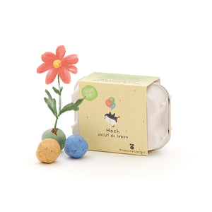 Boîte en carton avec illustration de fleurs colorées, à côté une fleur artificielle et trois boules de graines colorées.