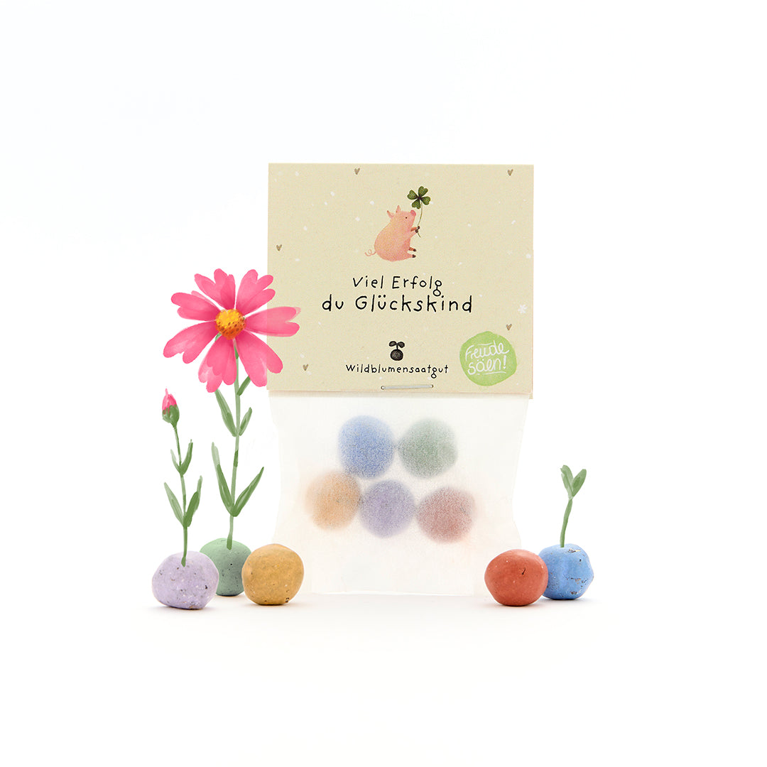 Sac contenant des boules de graines colorées, des fleurs et une carte avec l'inscription « Bonne chance, enfant chanceux » en allemand.