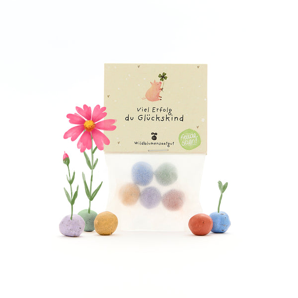 Sac contenant des boules de graines colorées, des fleurs et une carte avec l'inscription « Bonne chance, enfant chanceux » en allemand.