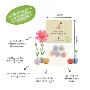 Emballage avec des boules de graines colorées, étiquetées avec des informations telles que 100% biologique, remplies de 19 graines de fleurs différentes, non toxiques, adaptées aux enfants et composées de terre, d'argile et de graines.