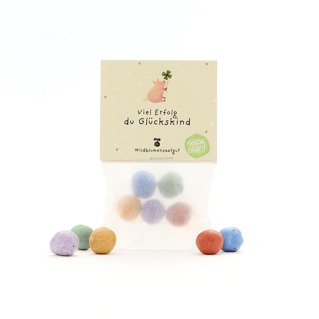 Sac contenant des boules de graines de fleurs sauvages colorées et une carte avec l'inscription « Bonne chance, enfant chanceux » et une illustration d'un cochon avec un trèfle à quatre feuilles.