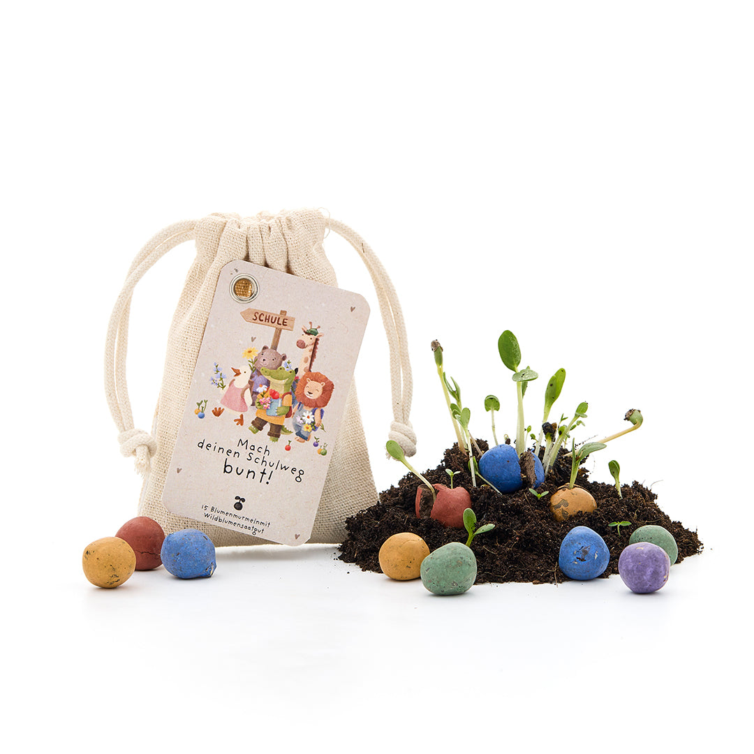 15 boules de graines dans un sac en coton
